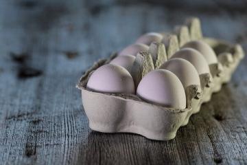 أخبر العلماء سبب عدم تناول الكثير من البيض