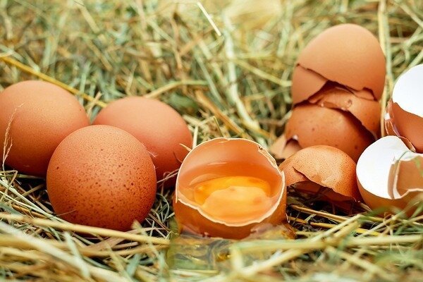 لا ينبغي أن يؤكل البيض طازجًا ، لأن ذلك يهدد ظهور الطفيليات في الجسم (الصورة: Pixabay.com)