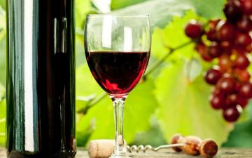 اختيار النبيذ جيدة إلى الجدول العام الجديد الروسي