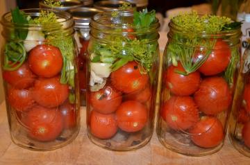 الطماطم المتبلة "زادونسك" لفصل الشتاء