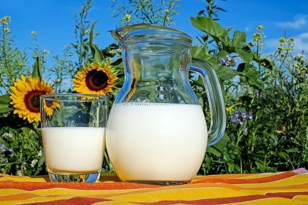 من الأفضل شراء الحليب من المزارع الخاصة (الصورة: pixabay.com)
