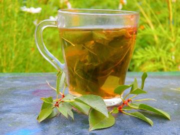 فيتامين الشاي من أوراق الكرز لتعزيز الصحة