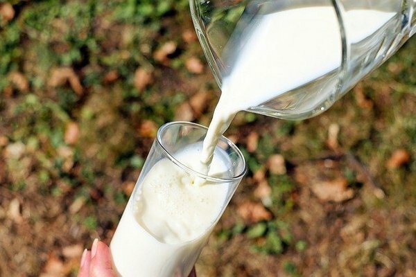 لكن إذا شعرت بأحاسيس مزعجة في المعدة أو الأمعاء بعد تناول كوب من الحليب ، فمن الأفضل رفضها لصالح منتجات الألبان المخمرة (الصورة: Pixabay.com)