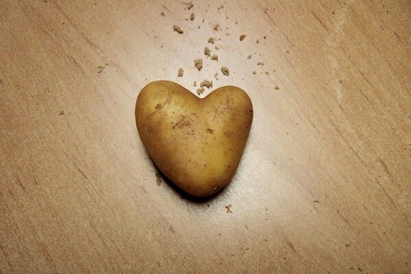 ستساعد البطاطا في أمراض القلب (الصورة: Pixabay.com)