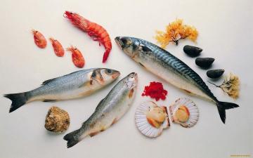 كيفية طبخ المأكولات البحرية وأسماك المياه المالحة؟