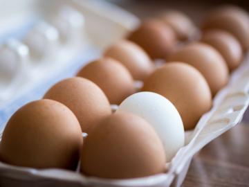 كيفية التحقق: الطازجة البيض أو مدلل؟