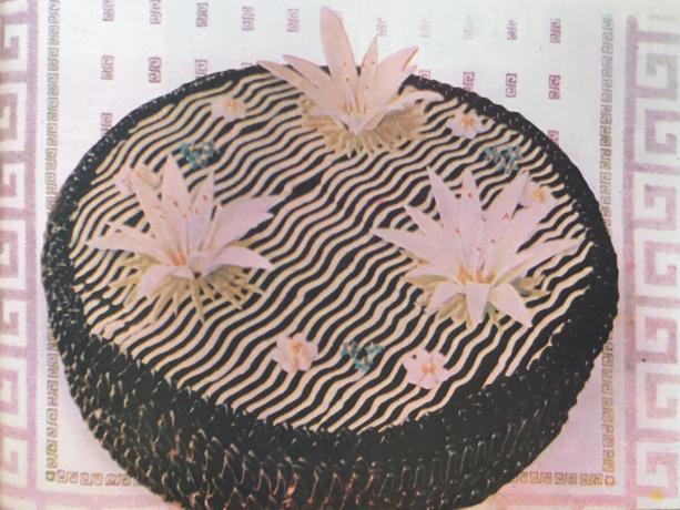"سلافوتيتش" كعكة. صورة من كتاب "إنتاج المعجنات والكعك،" 1976